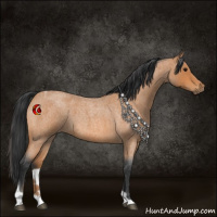 Horse Color:Bay Roan Tobiano 