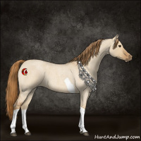 Horse Color:Red Dun Roan Tobiano