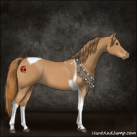Horse Color:Red Roan Tobiano 