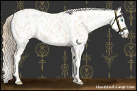 Horse Color:Perlino Near Leopard 