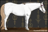 Horse Color:Perlino Near Fewspot 