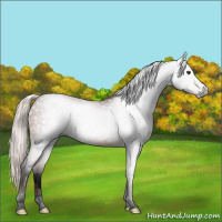 Horse Color:Gray Void Silver Brown 