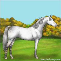 Horse Color:Gray Void Silver Classic Champagne Dun Splash Tobiano 