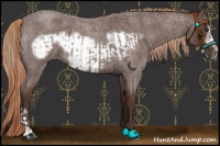 Horse Color:Liver Red Roan and Liver Red Roan Frame