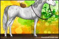 Horse Color:Liver Chestnut Sabino Splash Appaloosa and Gray Liver Chestnut Sabino Splash Appaloosa