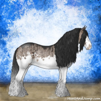 Horse Color:Brown Dun Mushroom Sabino Splash Rabicano Brindle