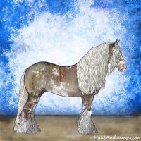 Horse Color:Liver Red Dun Mushroom Sabino Splash Rabicano Brindle 