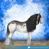 Horse Color:Bay Dun Sabino Splash Rabicano Brindle 