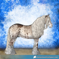 Horse Color:Liver Red Dun Onyx Mushroom Sabino Splash Rabicano Brindle