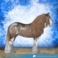 Horse Color:Liver Red Dun Sabino Splash Rabicano 