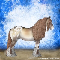 Horse Color:Liver Red Dun Onyx Sabino Appaloosa Rabicano 