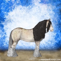 Horse Color:Sable Champagne Dun Sabino Splash Brindle 