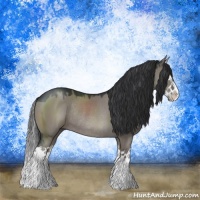 Horse Color:Grullo Splash Rabicano 