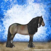 Horse Color:Brown Dun Sabino Rabicano 