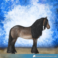 Horse Color:Brown Dun Sabino Rabicano Brindle 