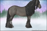 Horse Color:Grullo 
