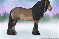 Horse Color:Brown Dun 
