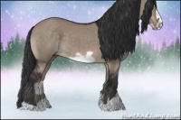 Horse Color:Brown Dun Frame 