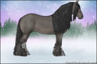 Horse Color:Grullo 