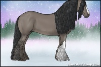 Horse Color:Grullo 