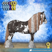 Horse Color:White Spotted Liver Chestnut Sabino Rabicano