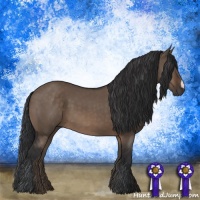 Horse Color:Brown Dun 