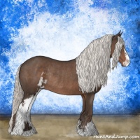 Horse Color:Liver Chestnut Mushroom Sabino Rabicano 