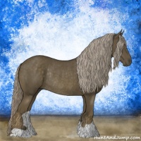 Horse Color:Chocolate Palomino Mushroom Rabicano 