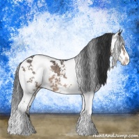 Horse Color:Brown Dun Sabino Rabicano