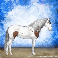 Horse Color:Bay Splash Tobiano Rabicano