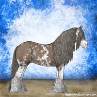 Horse Color:Liver Red Dun Mushroom Sabino Rabicano 