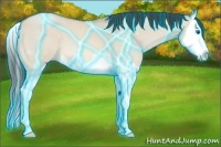 Horse Color:Thunderstruck Sable Champagne Dun Splash 