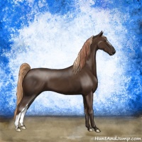 Horse Color:Liver Chestnut  and Liver Chestnut 