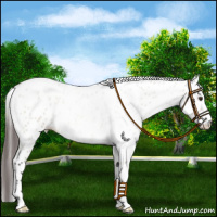 Horse Color:Bay Roan Dun Leopard 