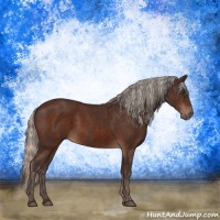 Horse Color:Liver Chestnut  and Silver Brown 
