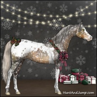Horse Color:Silver Smoky Black Splash Tobiano Blanket 