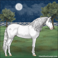 Horse Color:Silver Smoky Grullo Roan Snowdrop Splash Snowcap Rabicano 