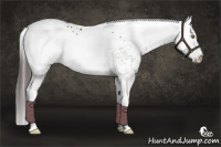 Horse Color:White Spotted Liver Chestnut Rabicano 