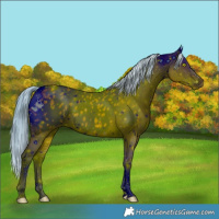 Horse Color:ERROR: UNKNOWN ANOMALY