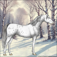 Horse Color:Black Ice Tobiano Appaloosa 