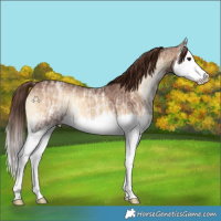 Horse Color:Red Onyx Ice Splash 