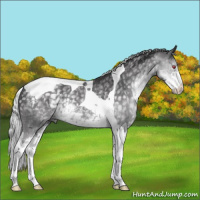 Horse Color:Silver Smoky Black Chinchilla Sabino Tobiano Rabicano