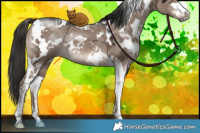 Horse Color:White Spotted Liver Red Dun Ice Sabino 