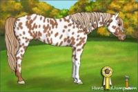Horse Color:Chestnut Near Leopard 