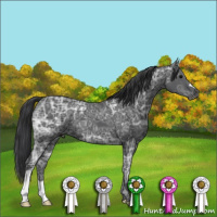 Horse Color:Black Ice 