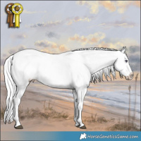 Horse Color:White Spotted Chocolate Palomino Chinchilla Dun Splash Tobiano Brindle 