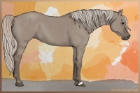 Horse Color:Silver Grullo 