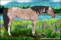 Horse Color:Bay Ice Roan 