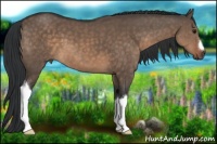 Horse Color:Brown Dun