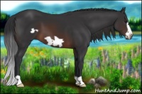 Horse Color:Brown Frame 